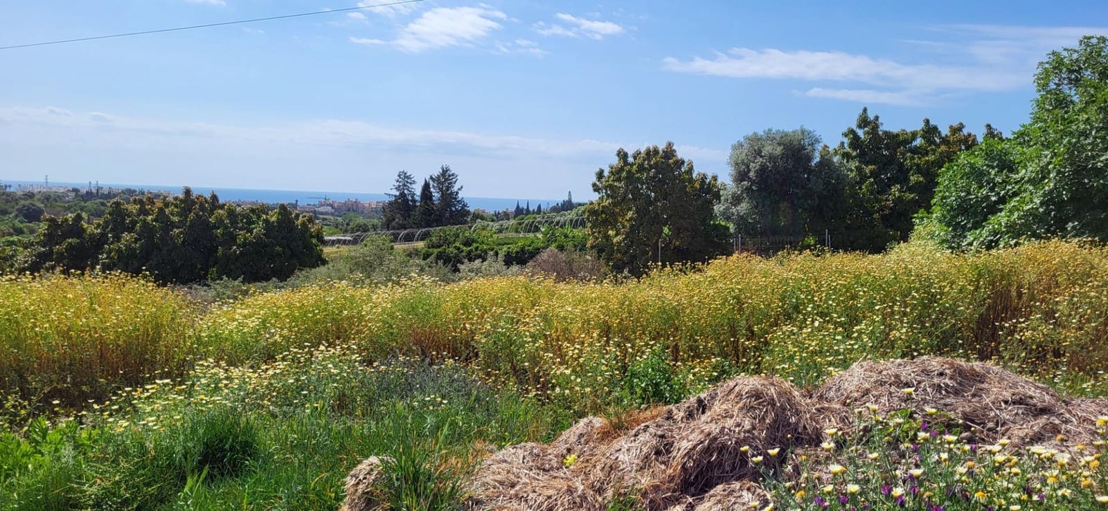 Terre non Aménagée à vendre à El Padron - 852 000 € (Ref: 9839620)