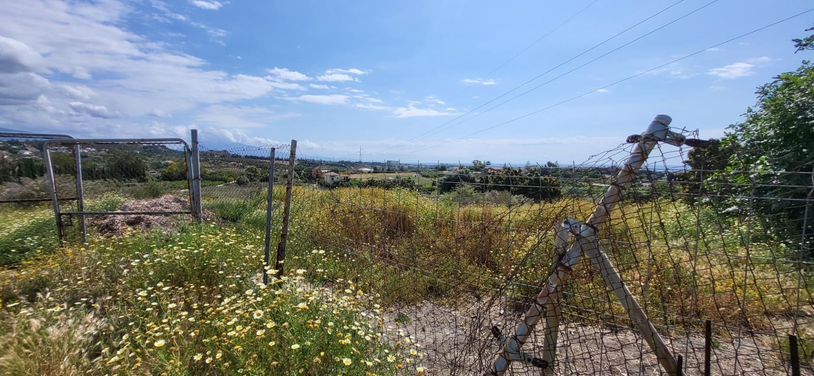 Terre non Aménagée à vendre à El Padron - 852 000 € (Ref: 9839620)