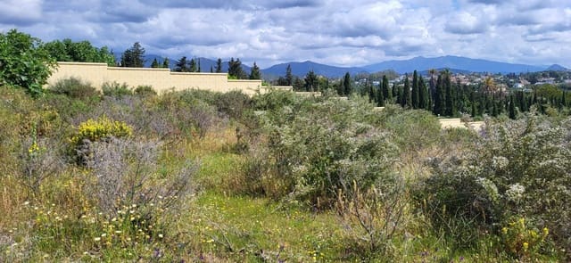 Undeveloped Land for sale in El Padrón, Estepona - € 852,000 (Ref: 9839620)