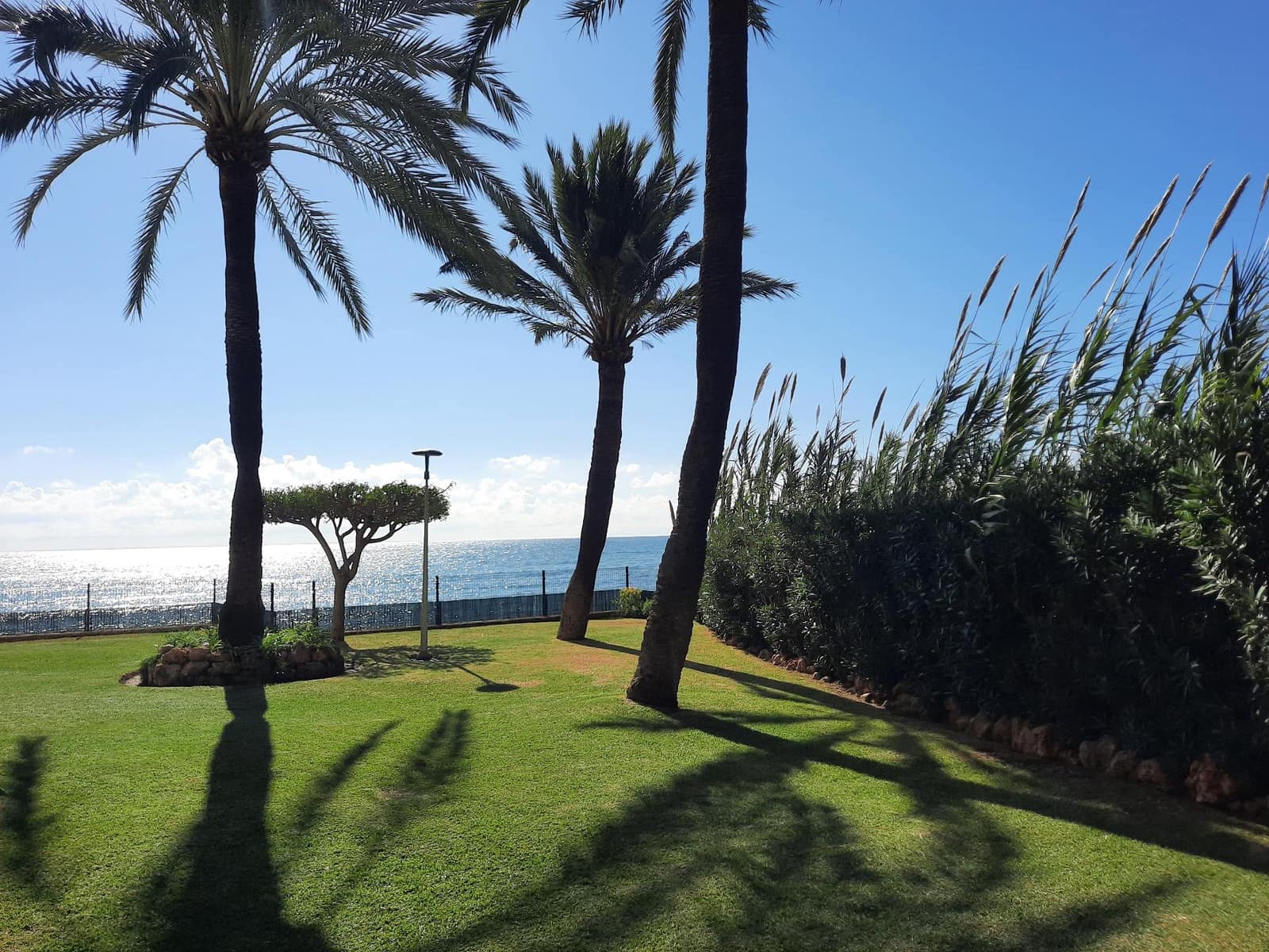 2 camera da letto Appartamento da affittare in Estepona con piscina garage - 1.500 € (Rif: 9876697)