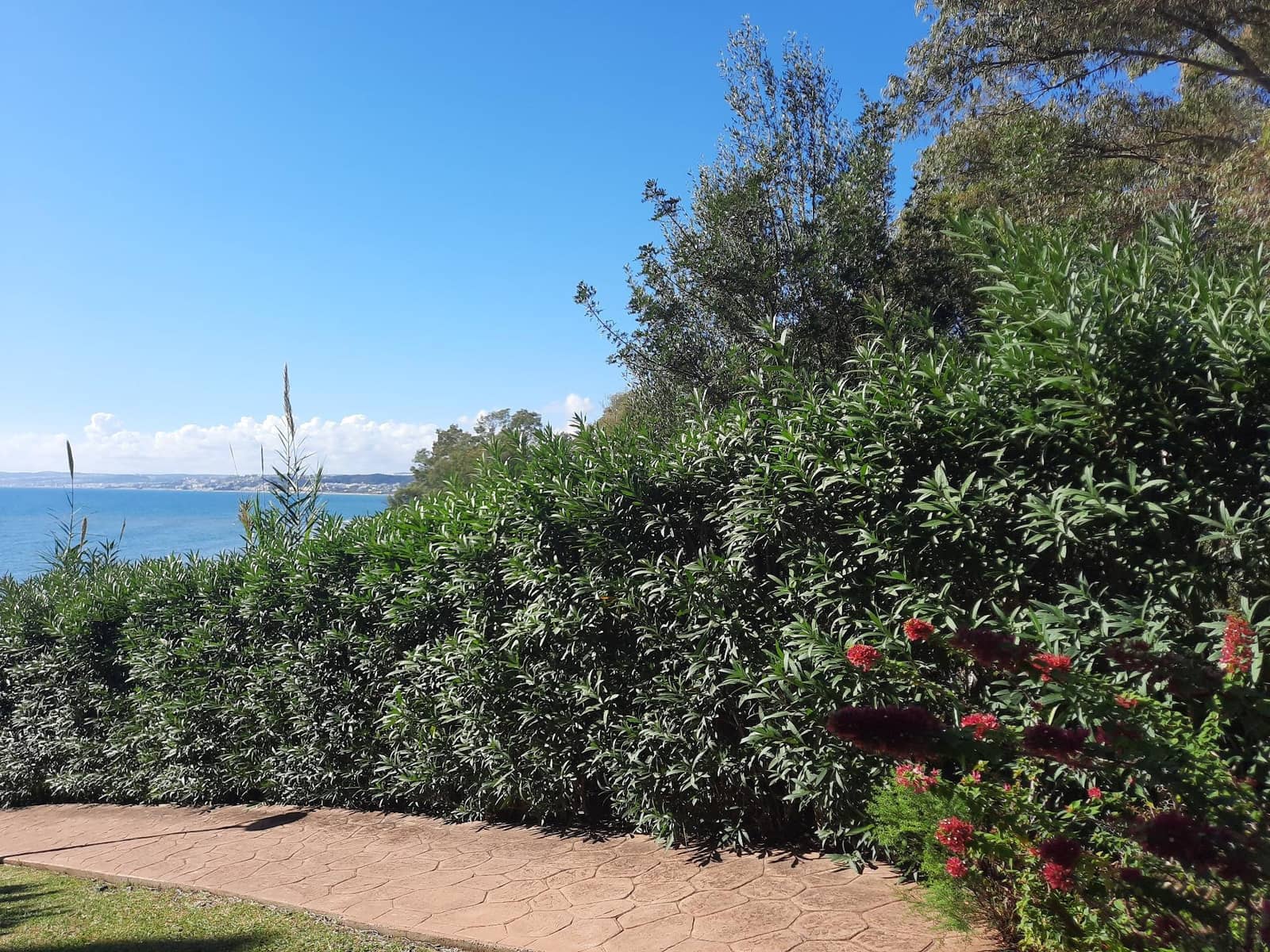 2 chambre Appartement à vendre à Estepona avec piscine - 470 000 € (Ref: 9929588)