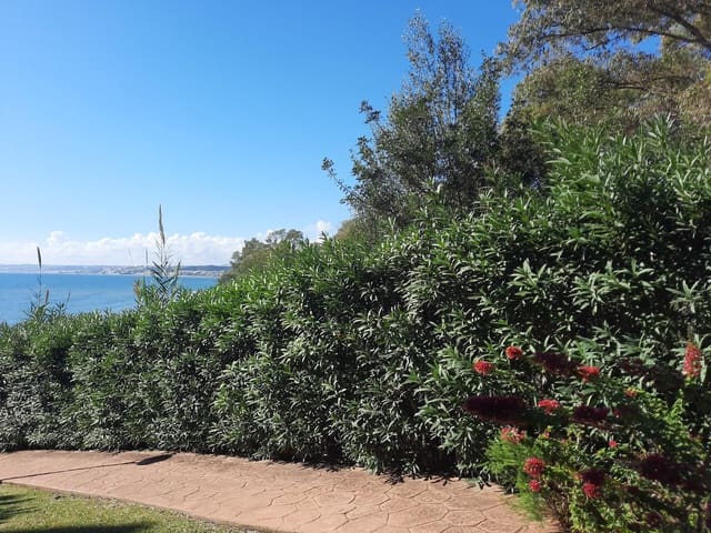 2 chambre Appartement à vendre à Estepona avec piscine - 470 000 € (Ref: 9929588)
