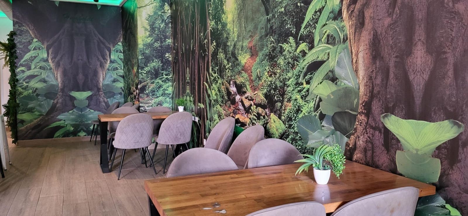 Kaupallinen vuokrattavana paikassa San Pedro de Alcantara - 1 800 € (Ref: 9934415)