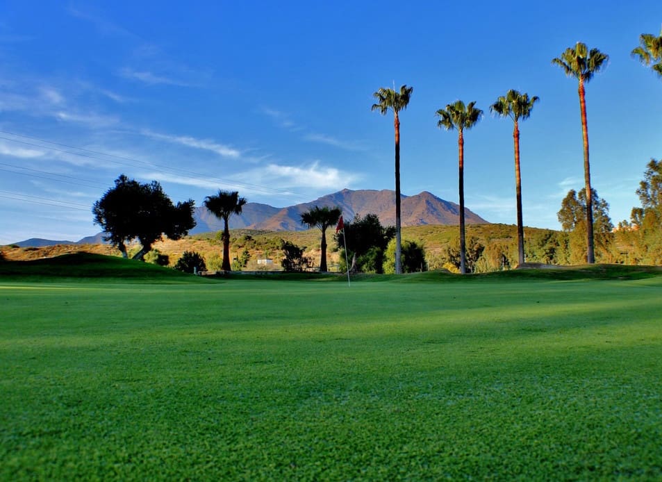 Solar/Parcela en Estepona en venta - 295.000 € (Ref: 10098837)