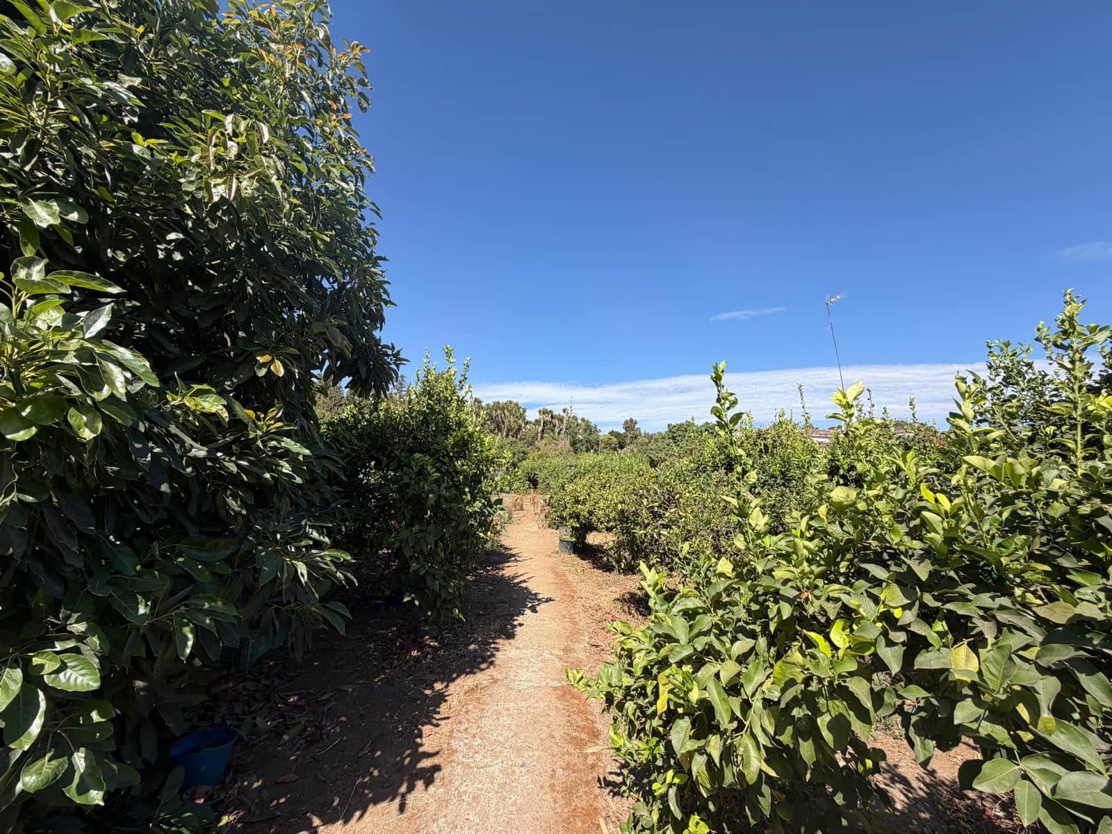 Building Plot for sale in El Velerin - € 245,000 (Ref: 10112160)