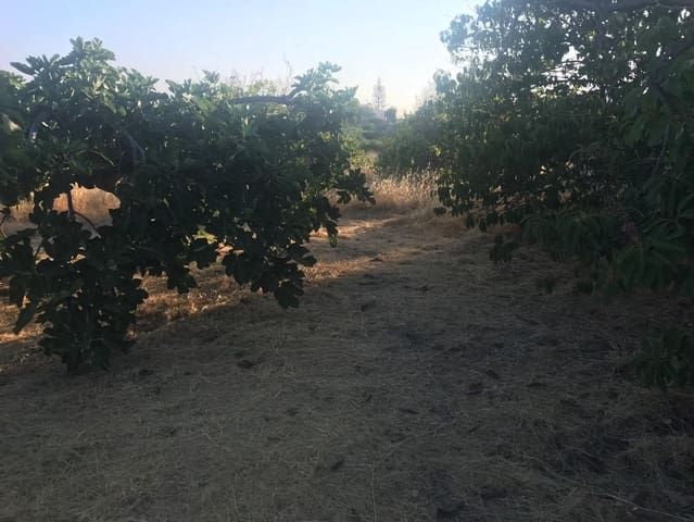 Byggegrund til salg i Estepona - € 2.395.000 (Ref: 6603414)