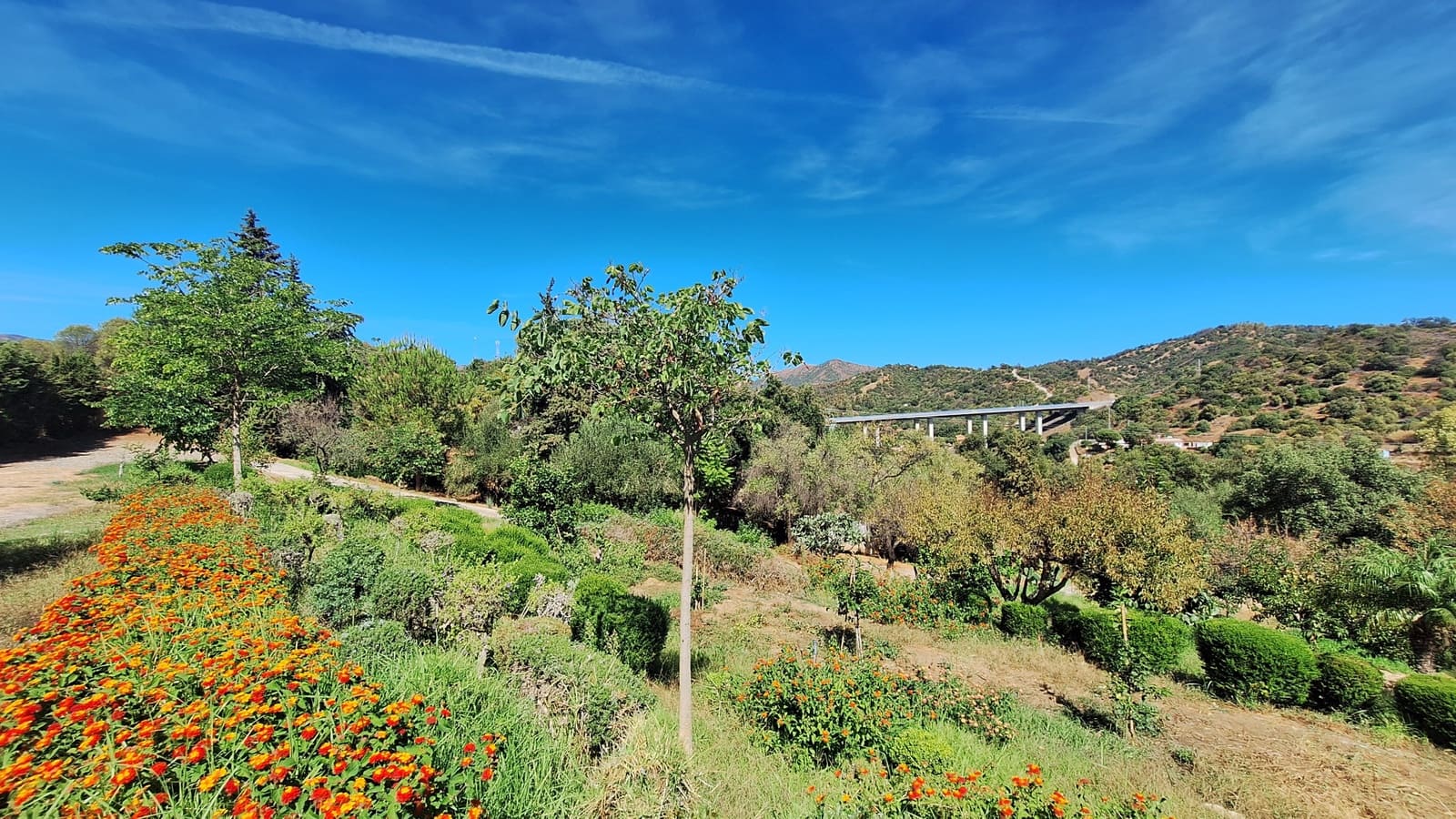 2 slaapkamer Finca/Landhuis te koop in El Velerin met zwembad garage - € 550.000 (Ref: 8562312)