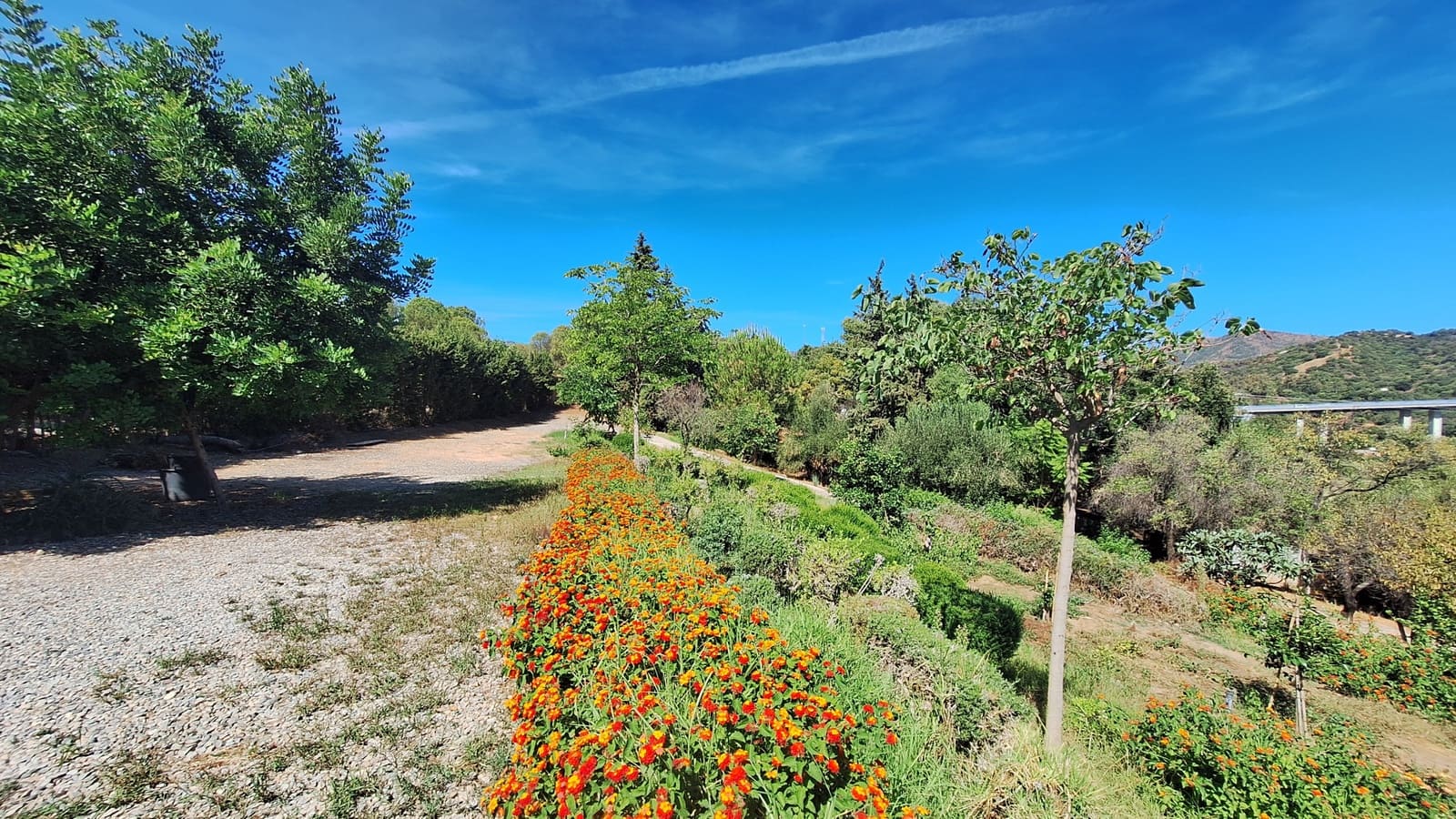 2 slaapkamer Finca/Landhuis te koop in El Velerin met zwembad garage - € 550.000 (Ref: 8562312)