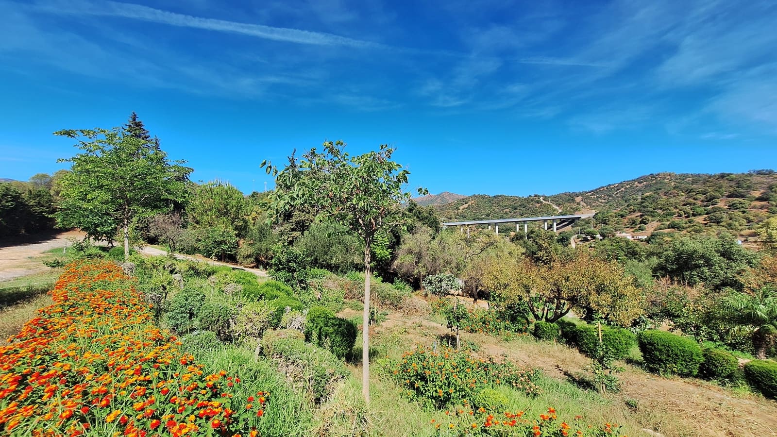 2 bedroom Finca/Country House for sale in El Velerin with pool garage - € 550,000 (Ref: 8562312)