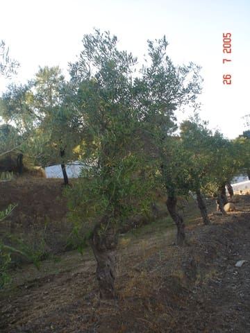 Tontti myytävänä paikassa El Padrón, Estepona - 2 500 000 € (Ref: 8766394)