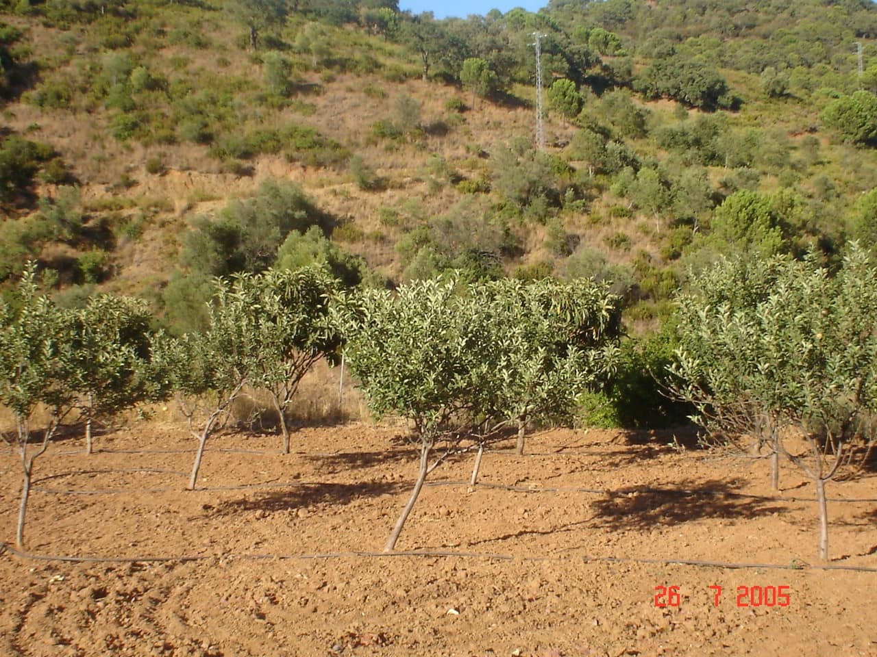 Byggegrund til salg i El Padron - € 2.500.000 (Ref: 8766394)