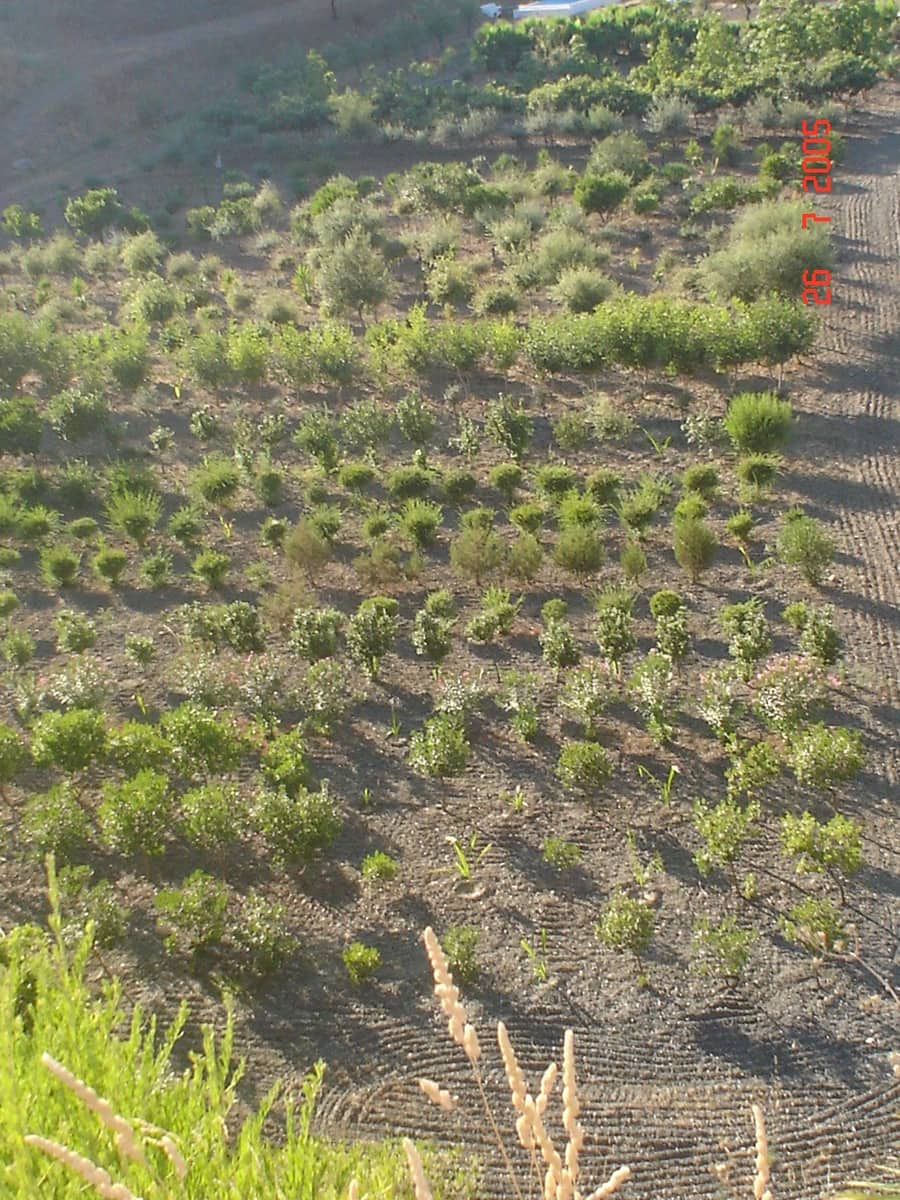 Byggegrund til salg i El Padron - € 2.500.000 (Ref: 8766394)