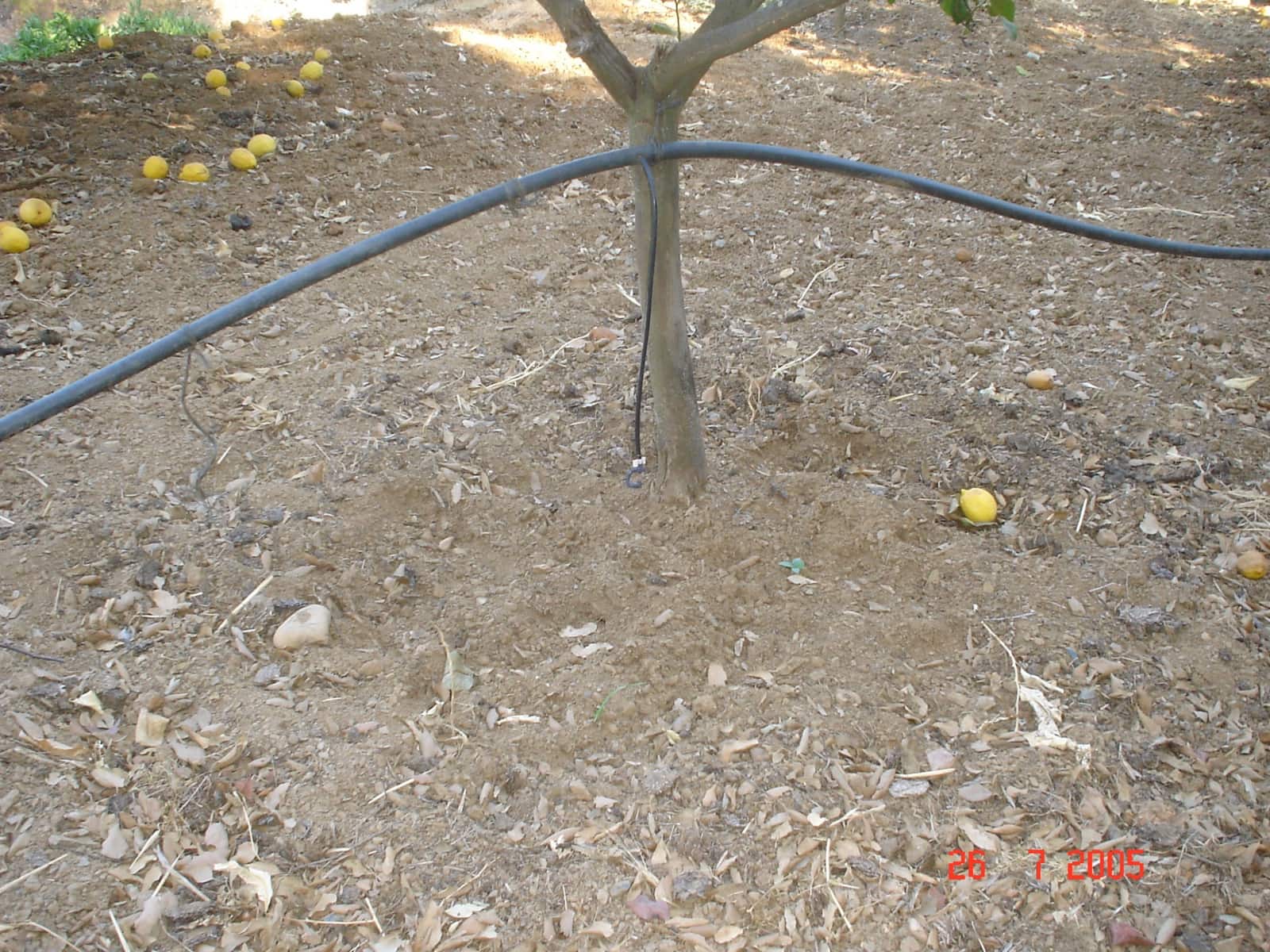 Byggegrund til salg i El Padron - € 2.500.000 (Ref: 8766394)