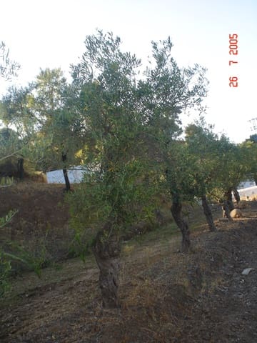 Building Plot for sale in El Padrón, Estepona - € 1,500,000 (Ref: 8766394)