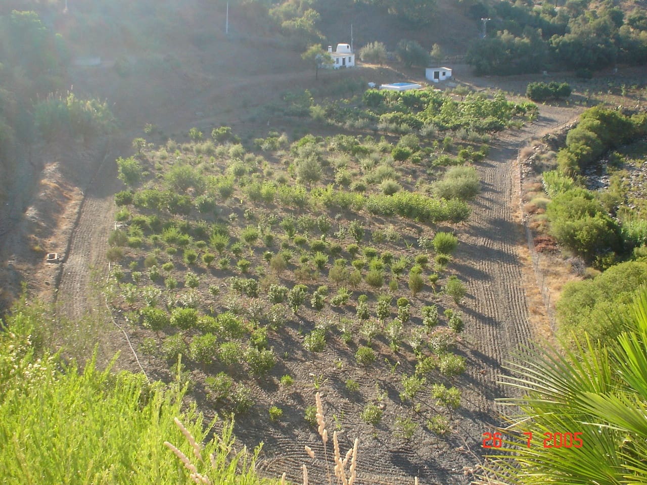 Building Plot for sale in El Padron - € 1,500,000 (Ref: 8766394)