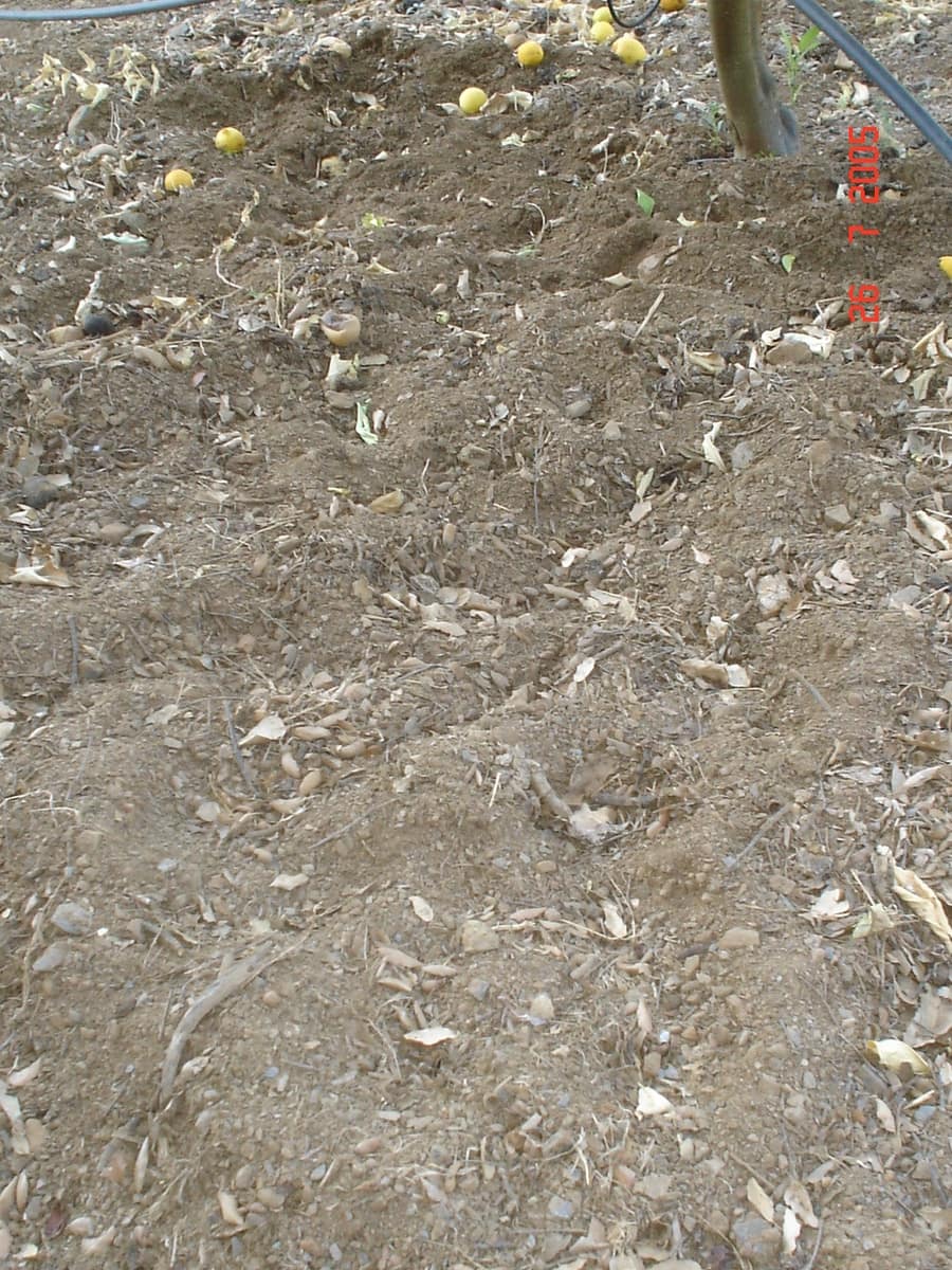 Building Plot for sale in El Padron - € 1,500,000 (Ref: 8766394)