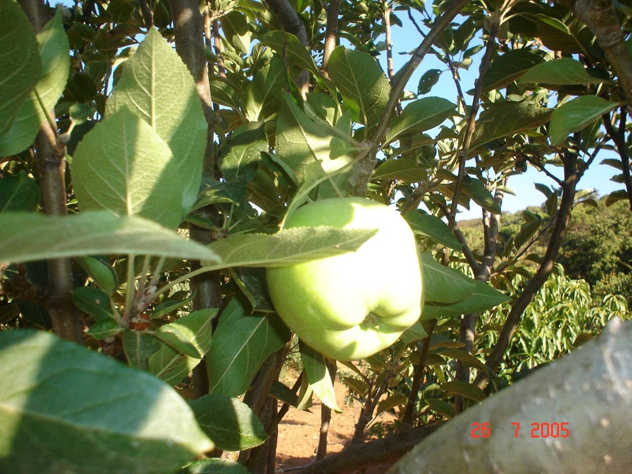 Building Plot for sale in El Padron - € 1,500,000 (Ref: 8766394)