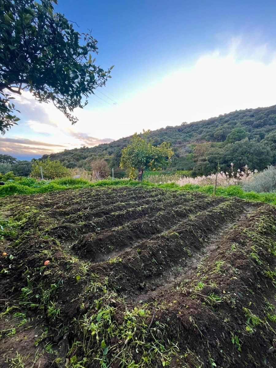 3 sypialnia Finka/Dom wiejski na sprzedaż w Estepona - 585 000 € (Ref: 8821045)