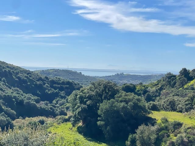 3 chambre Finca/Maison de Campagne à vendre à Estepona - 499 000 € (Ref: 8821045)
