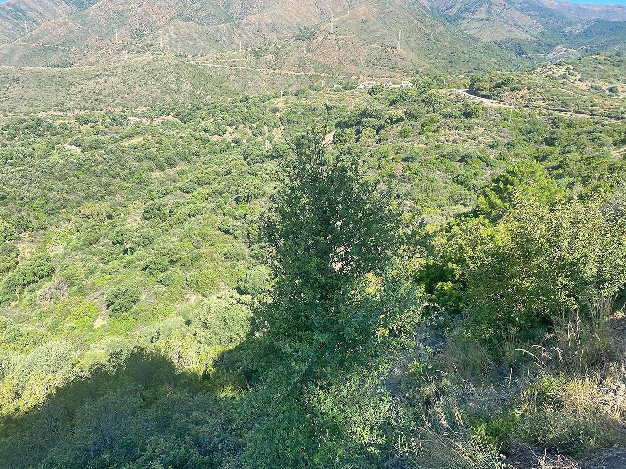 Byggegrund til salg i Estepona - € 380.000 (Ref: 8981840)