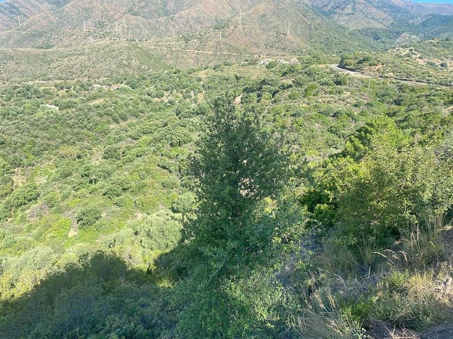 Byggegrund til salg i Estepona - € 380.000 (Ref: 8981840)