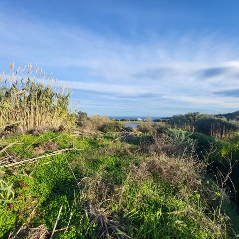 Terrain à Bâtir à vendre à Estepona - 636 000 € (Ref: 9614228)