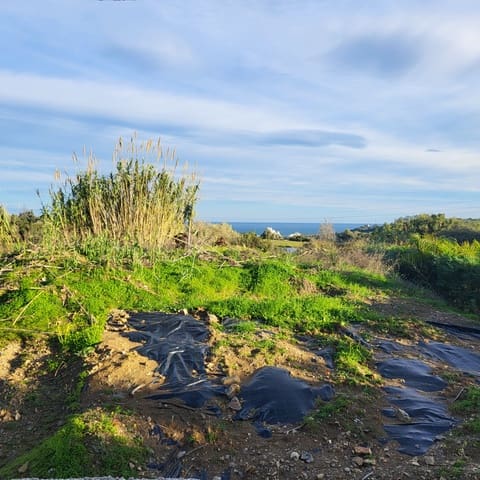 Terrain à Bâtir à vendre à Estepona - 636 000 € (Ref: 9614228)