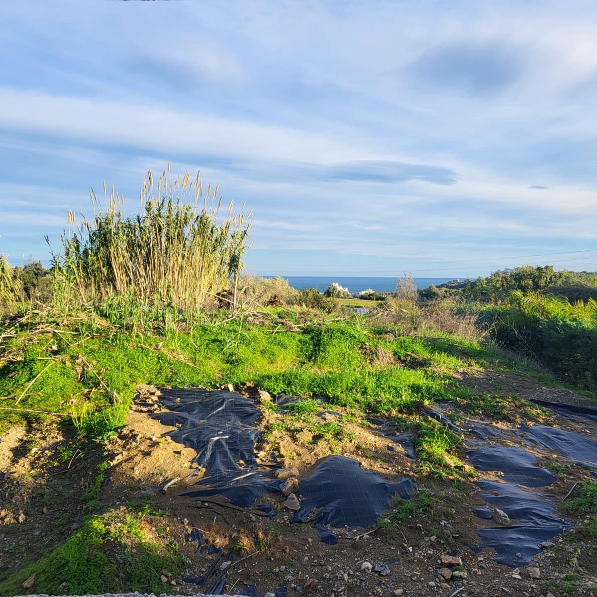 Building Plot for sale in Estepona - € 636,000 (Ref: 9614228)