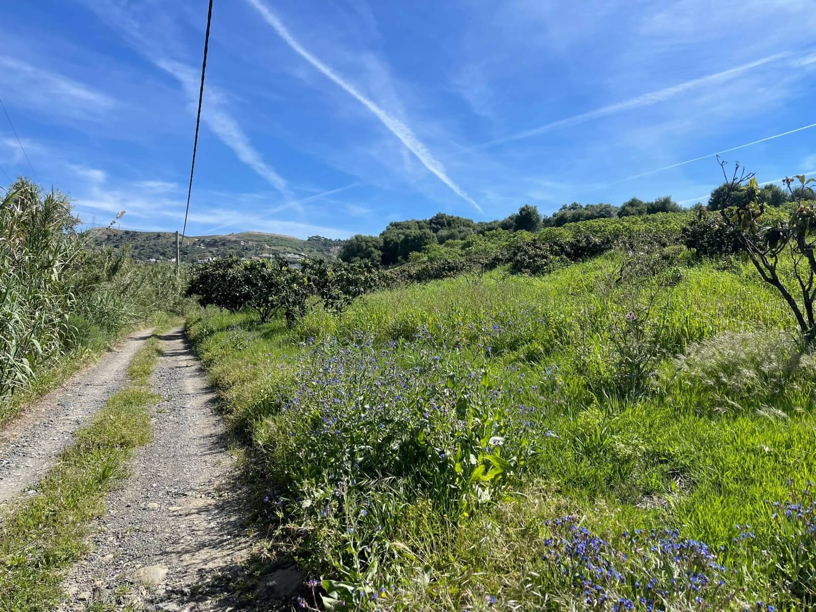 Building Plot for sale in Estepona - € 1,065,000 (Ref: 9713534)