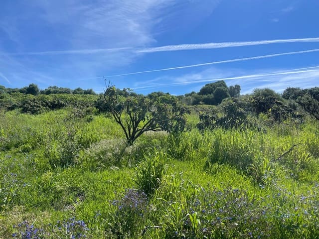Solar/Parcela en Guadalobón, Estepona en venta - 1.065.000 € (Ref: 9713534)