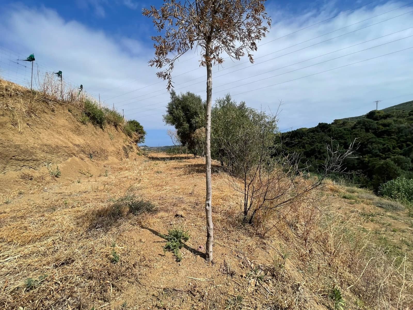 Solar/Parcela en Estepona en venta - 170.000 € (Ref: 9895183)
