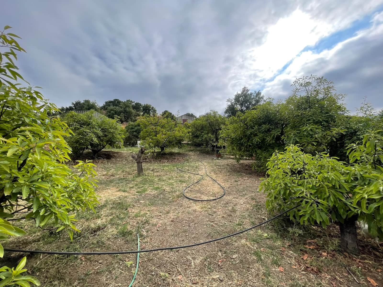 Działka budowlana na sprzedaż w Estepona - 186 000 € (Ref: 9902478)