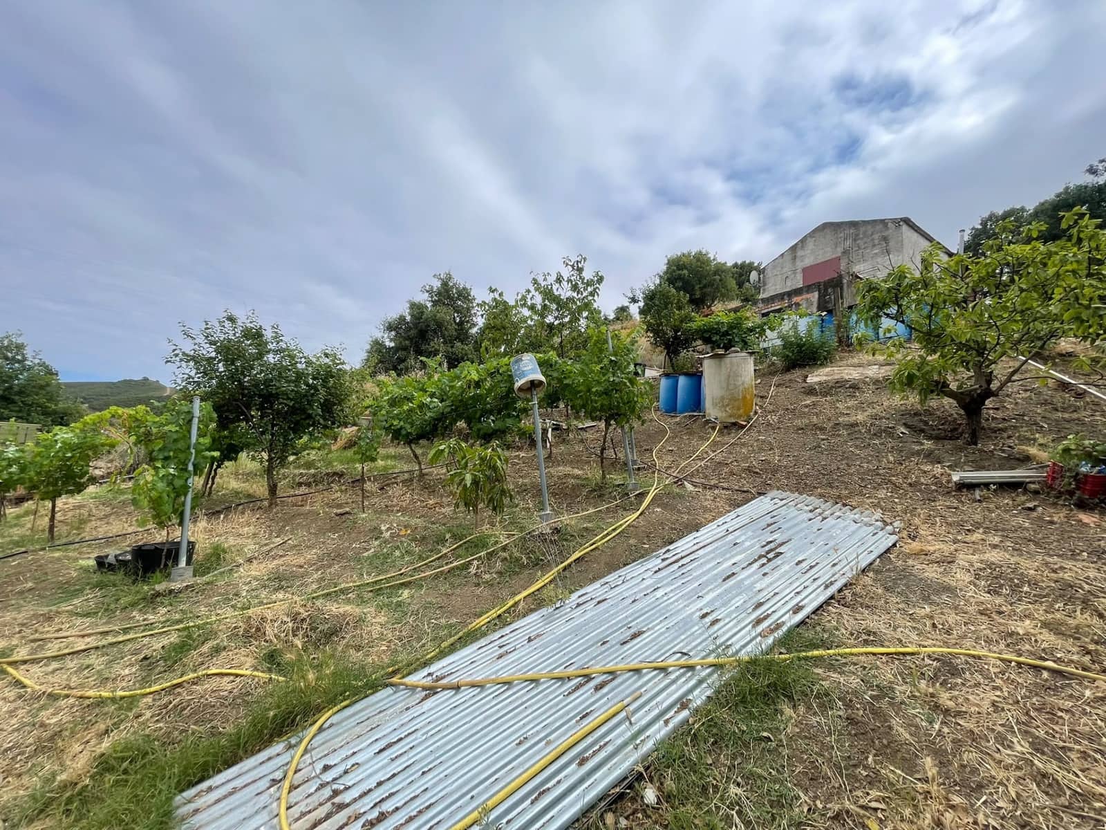 Działka budowlana na sprzedaż w Estepona - 186 000 € (Ref: 9902478)