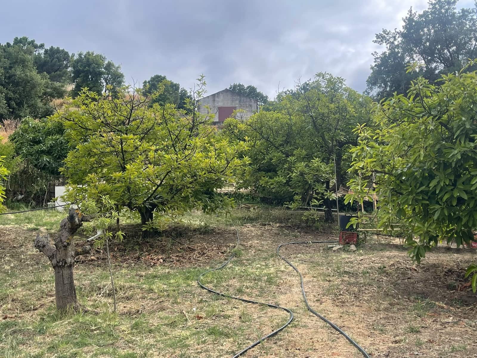 Działka budowlana na sprzedaż w Estepona - 186 000 € (Ref: 9902478)
