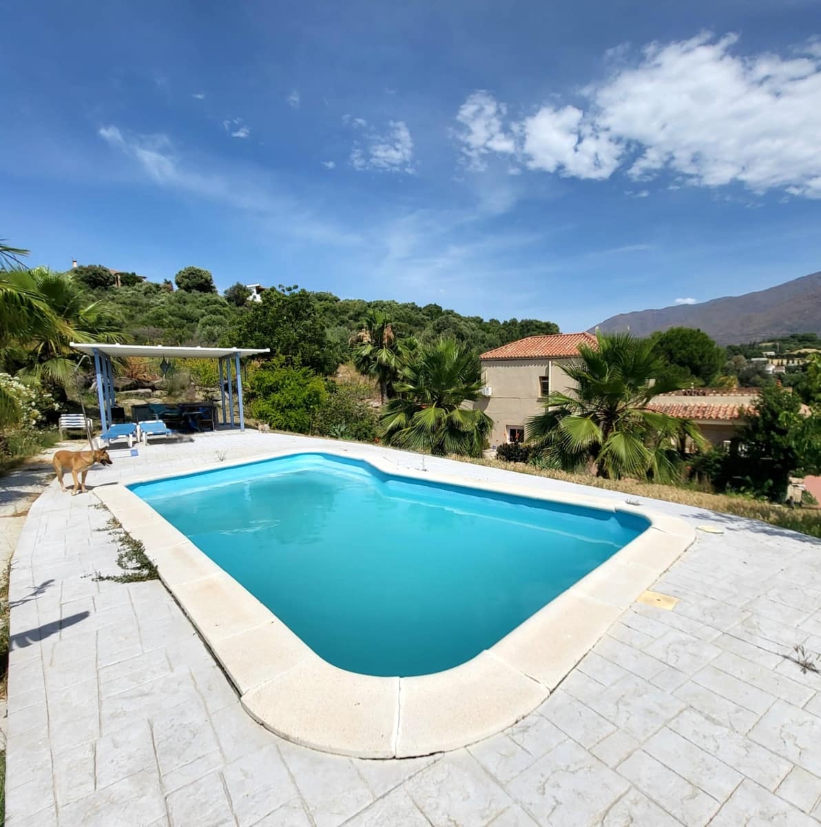Chalet de 5 habitaciones en Estepona en venta con piscina - 1.260.000 € (Ref: 9921100)