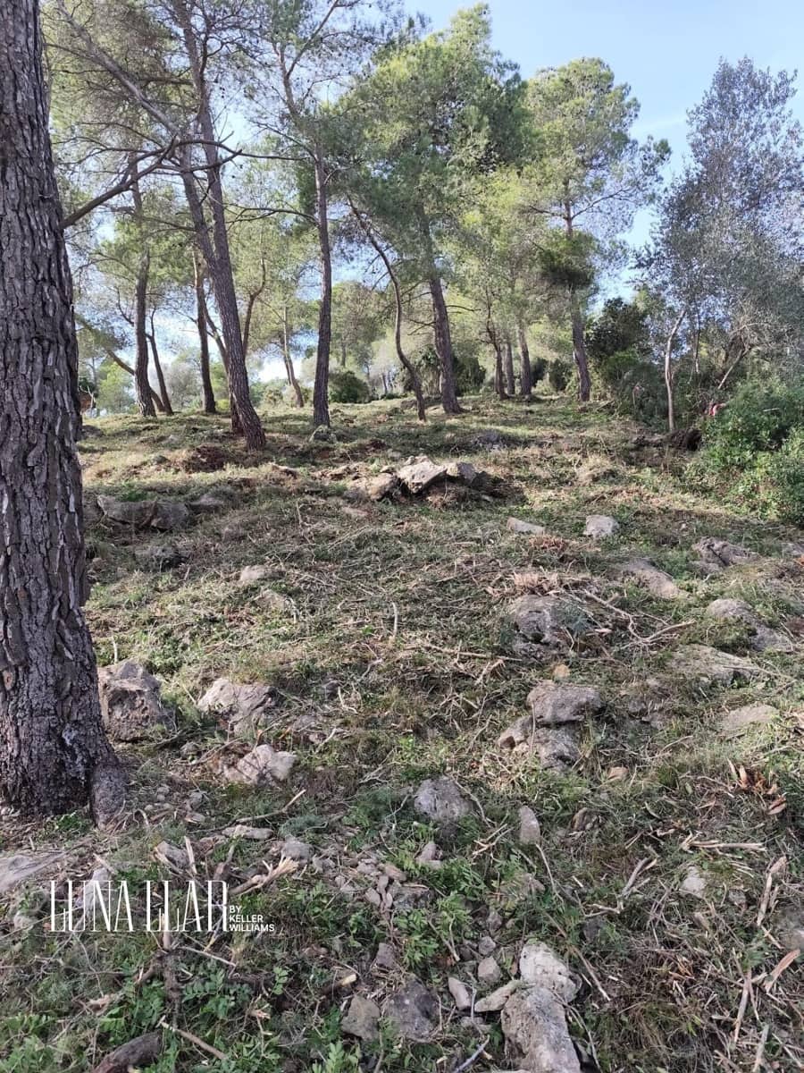 Terreno para Construção para venda em Begues - 122 520 € (Ref: 9474942)
