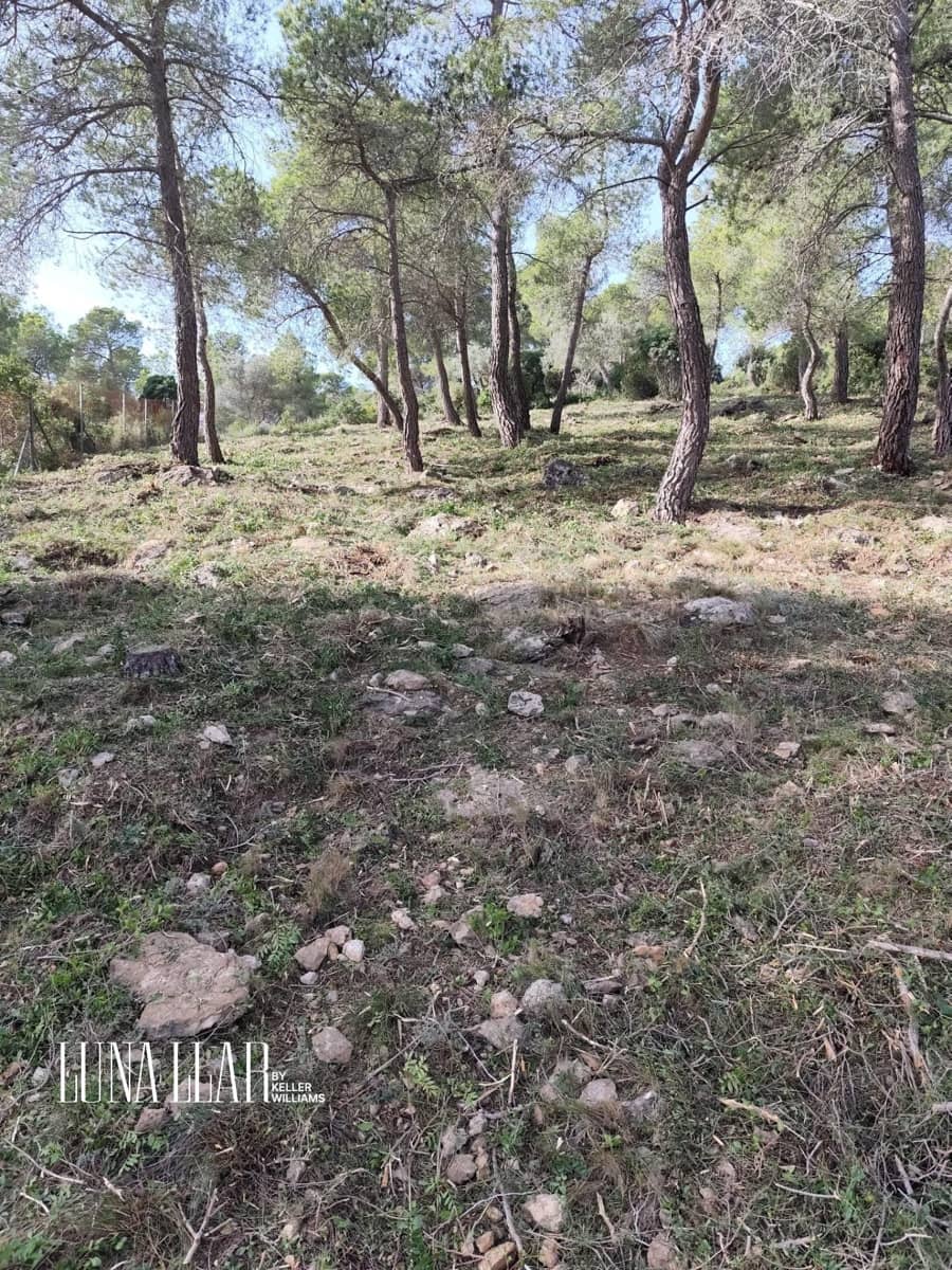 Terreno para Construção para venda em Begues - 122 520 € (Ref: 9474942)