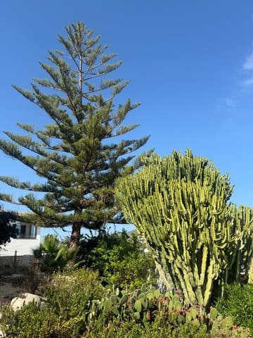3 Zimmer Villa zu verkaufen in Moraira, Teulada-Moraira mit Pool Garage - 1.095.000 € (Ref: 10037805)