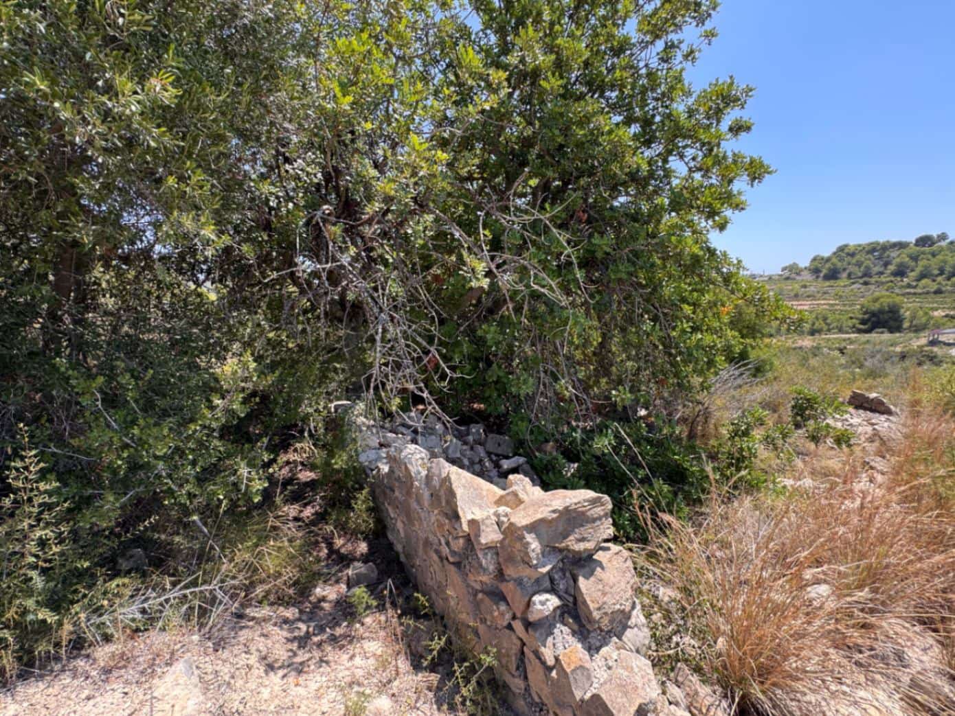 Byggetomt til salgs i Teulada - € 44 900 (Ref: 10170172)