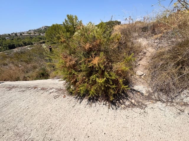 Byggetomt til salgs i Teulada Pueblo, Teulada-Moraira - € 44 900 (Ref: 10170172)