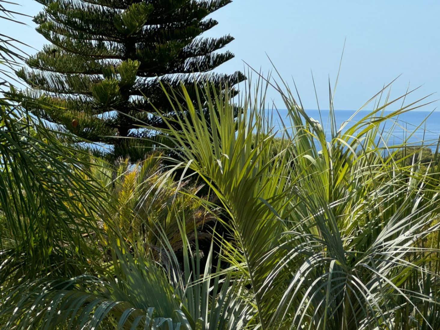 4 bedroom Villa for sale in Benissa with pool garage - € 1,350,000 (Ref: 4416640)