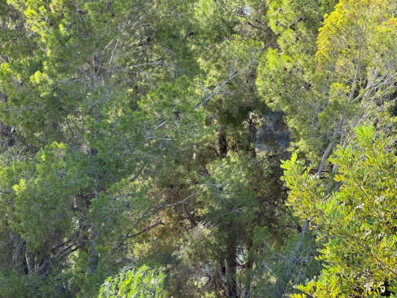 Byggetomt til salgs i Benissa - € 320 000 (Ref: 4456975)