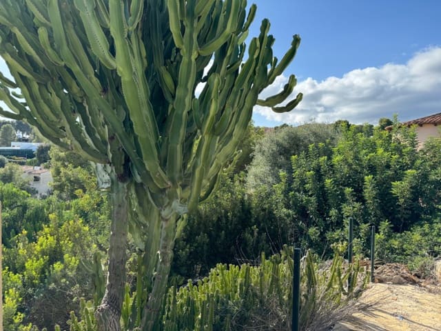 Tomt till salu i Benissa - 320 000 € (Ref: 4456975)