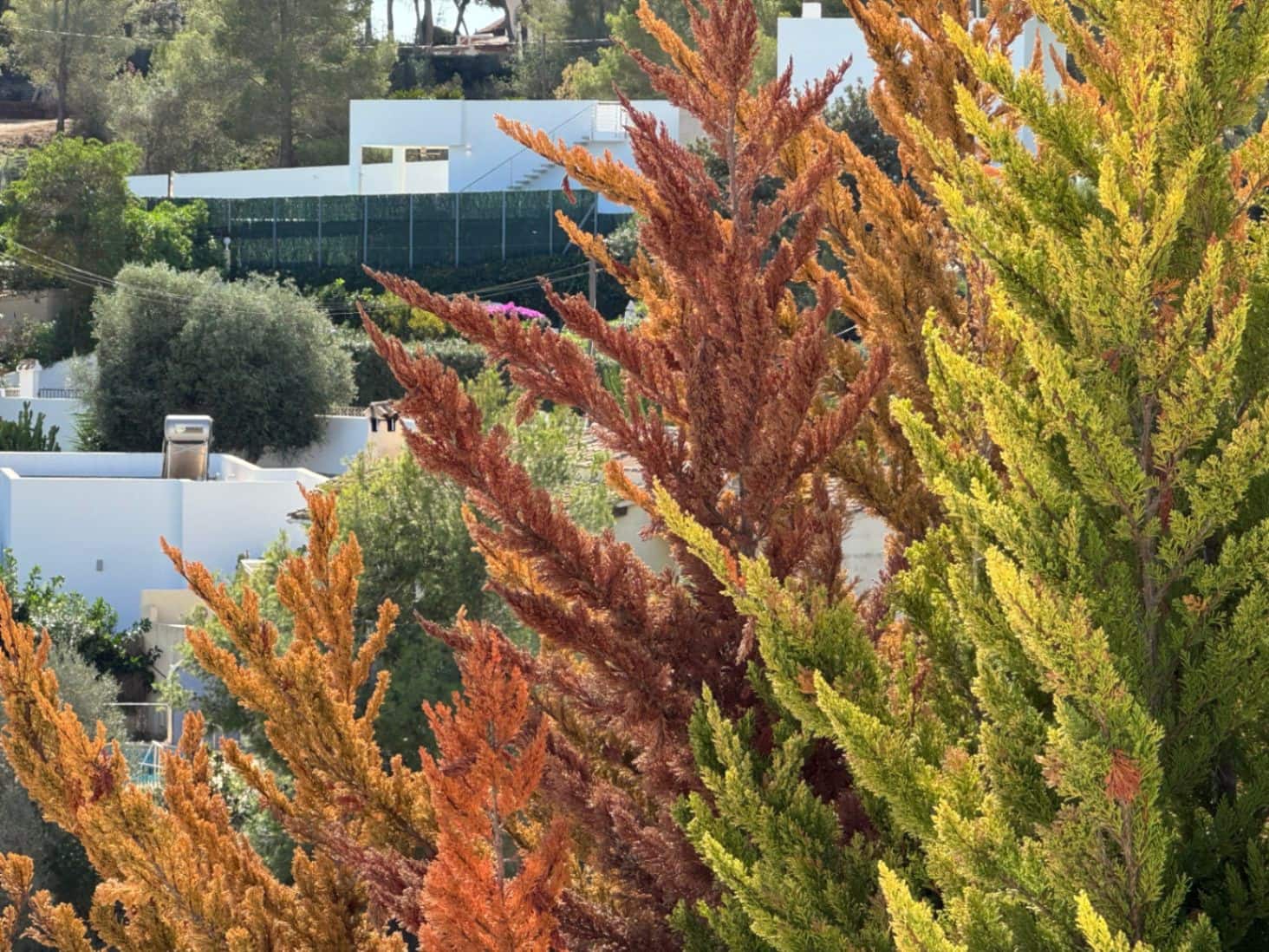 Byggetomt til salgs i Benissa - € 320 000 (Ref: 4456975)