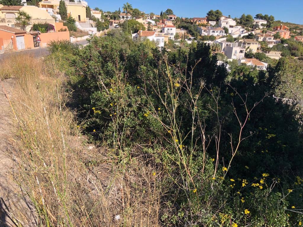 Area Edificabile in vendita in Cumbre del Sol - 196.000 € (Rif: 7733426)