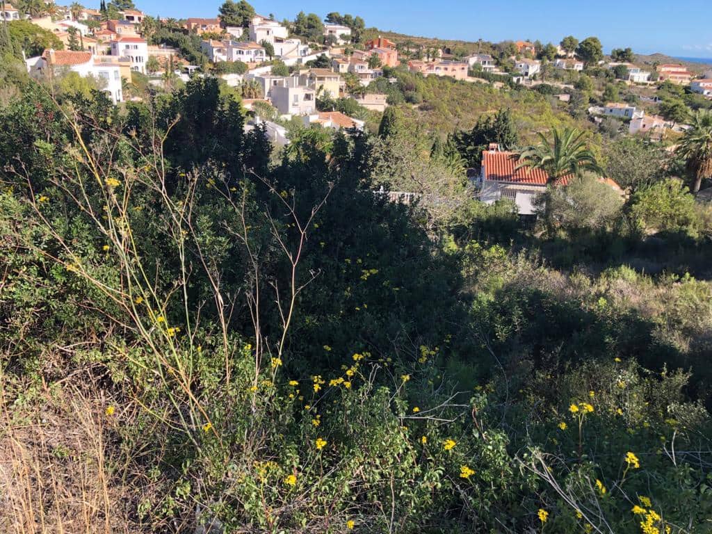 Area Edificabile in vendita in Cumbre del Sol - 196.000 € (Rif: 7733426)