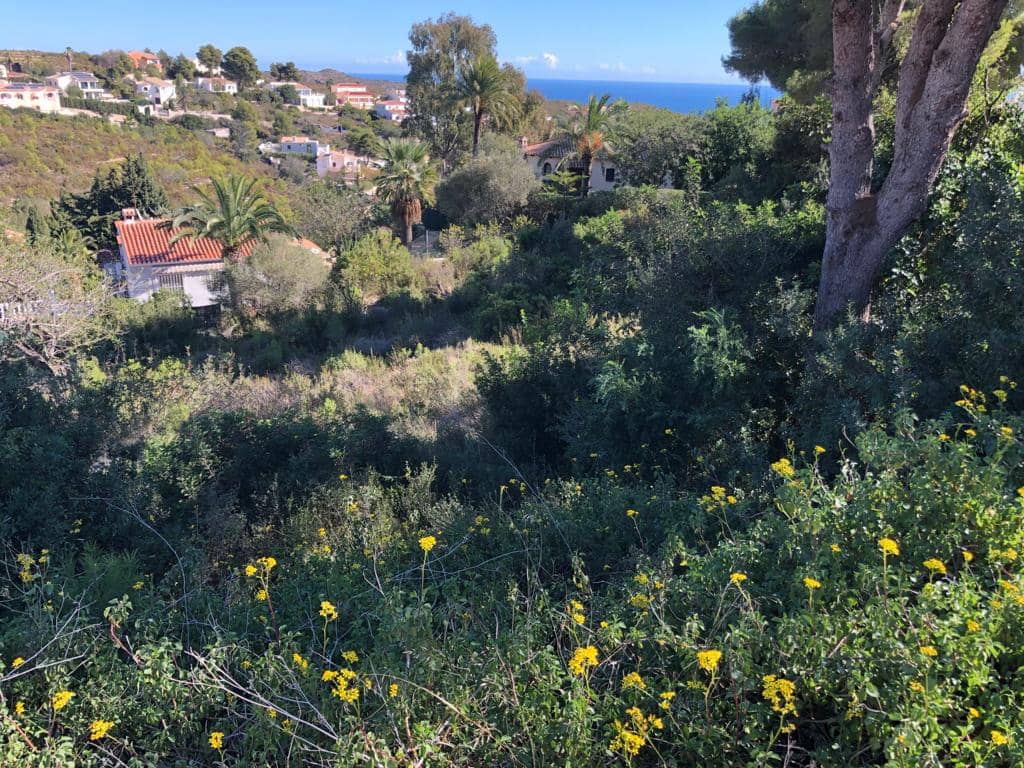 Area Edificabile in vendita in Cumbre del Sol - 196.000 € (Rif: 7733426)