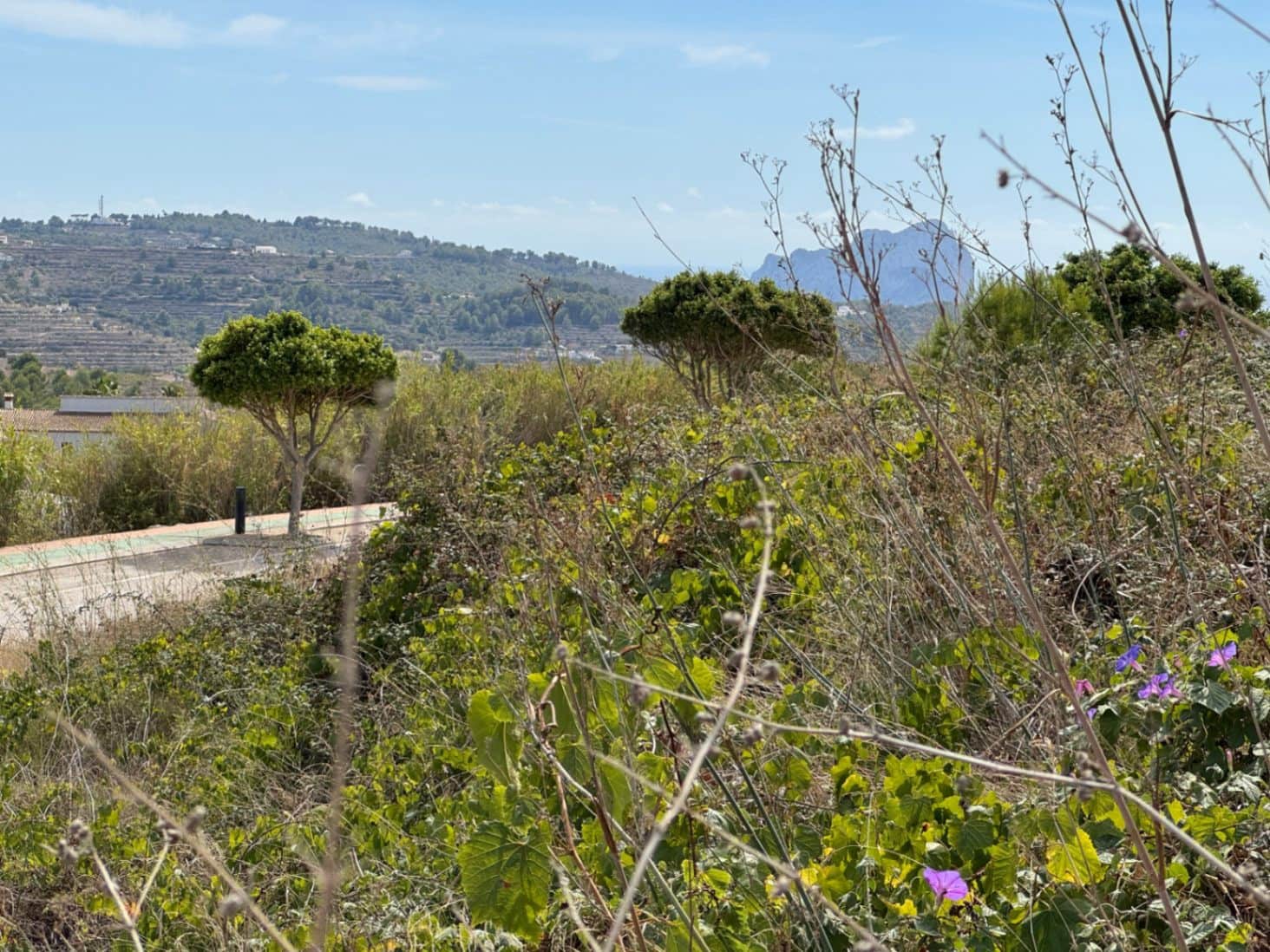 Byggegrund til salg i Benissa - € 100.000 (Ref: 7825626)