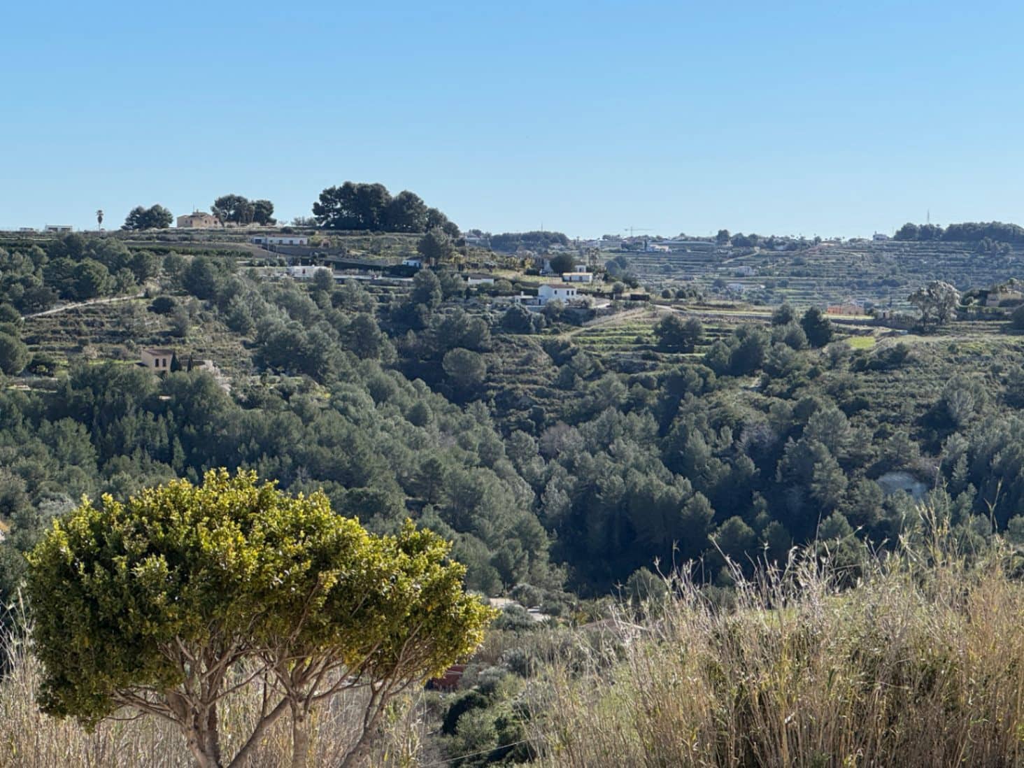 Byggetomt til salgs i Benissa - € 100 000 (Ref: 7825626)