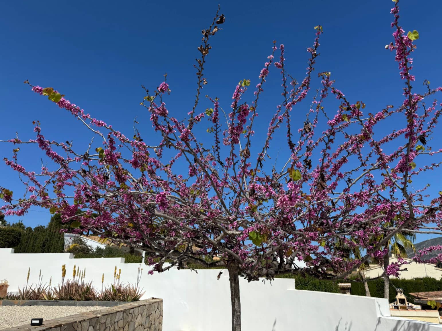 3 camera da letto Villa in vendita in Moraira con piscina garage - 1.440.000 € (Rif: 8148883)